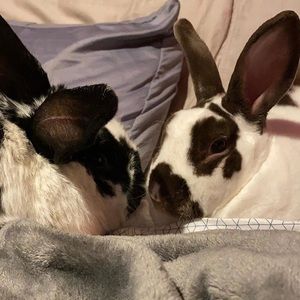 Meet your Posher, The best